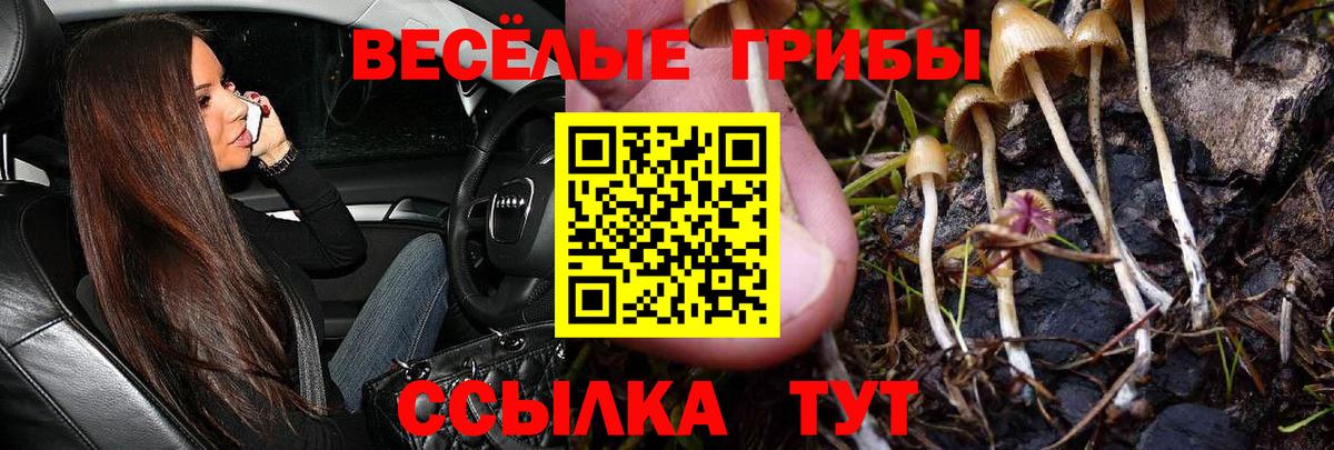 Галлюциногенные грибы прущие грибы Волжск